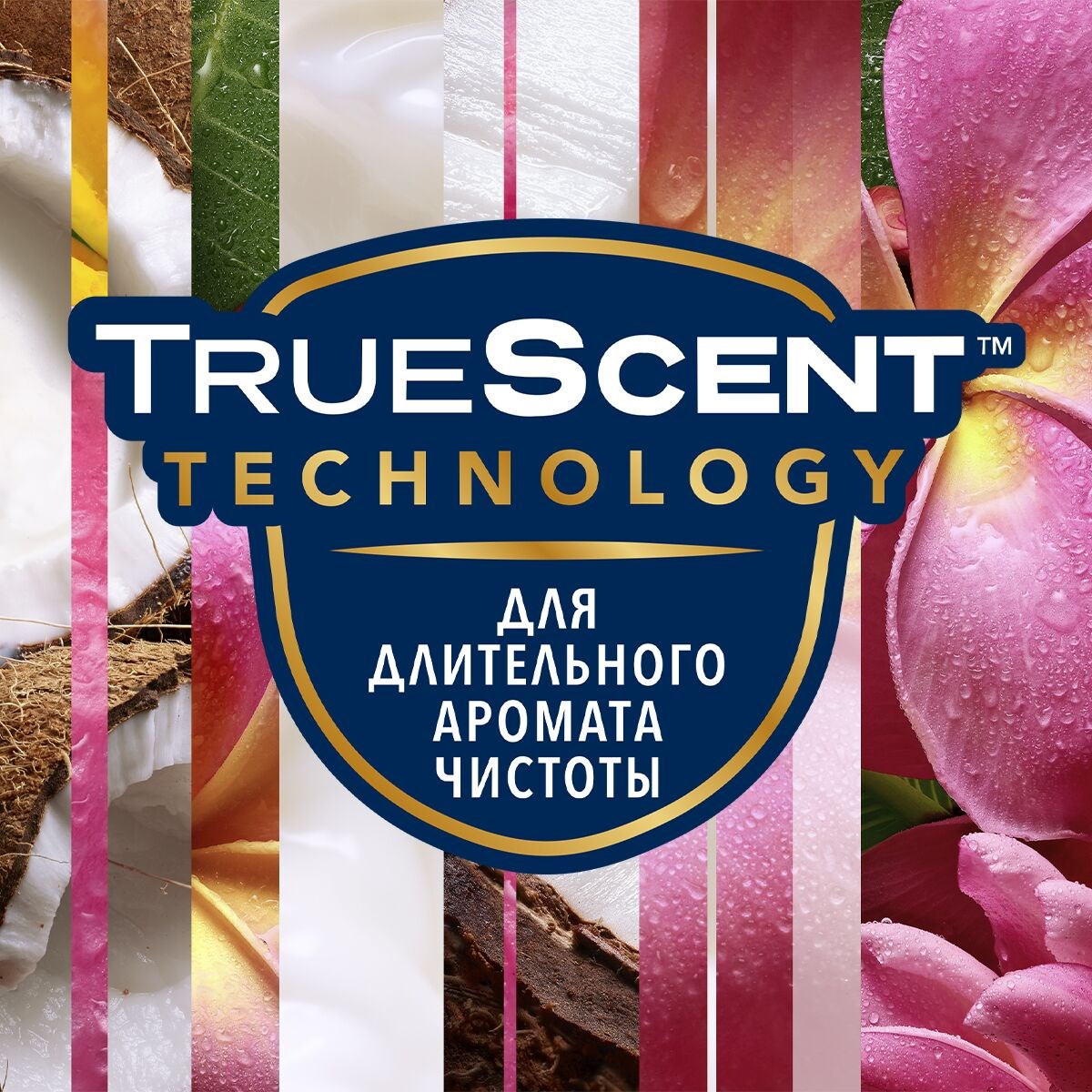 Glade Automatic Универсальный сменный аэрозольный баллон для автоматическго освежителя воздуха Кокосовый Бали 269 мл