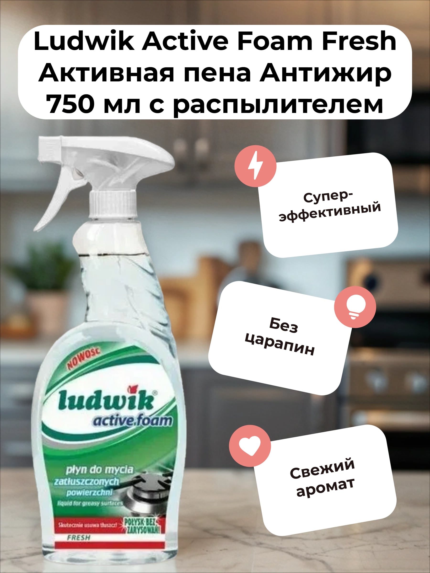 Ludwik Active Foam Fresh Активная пена Антижир 750 мл с распылителем